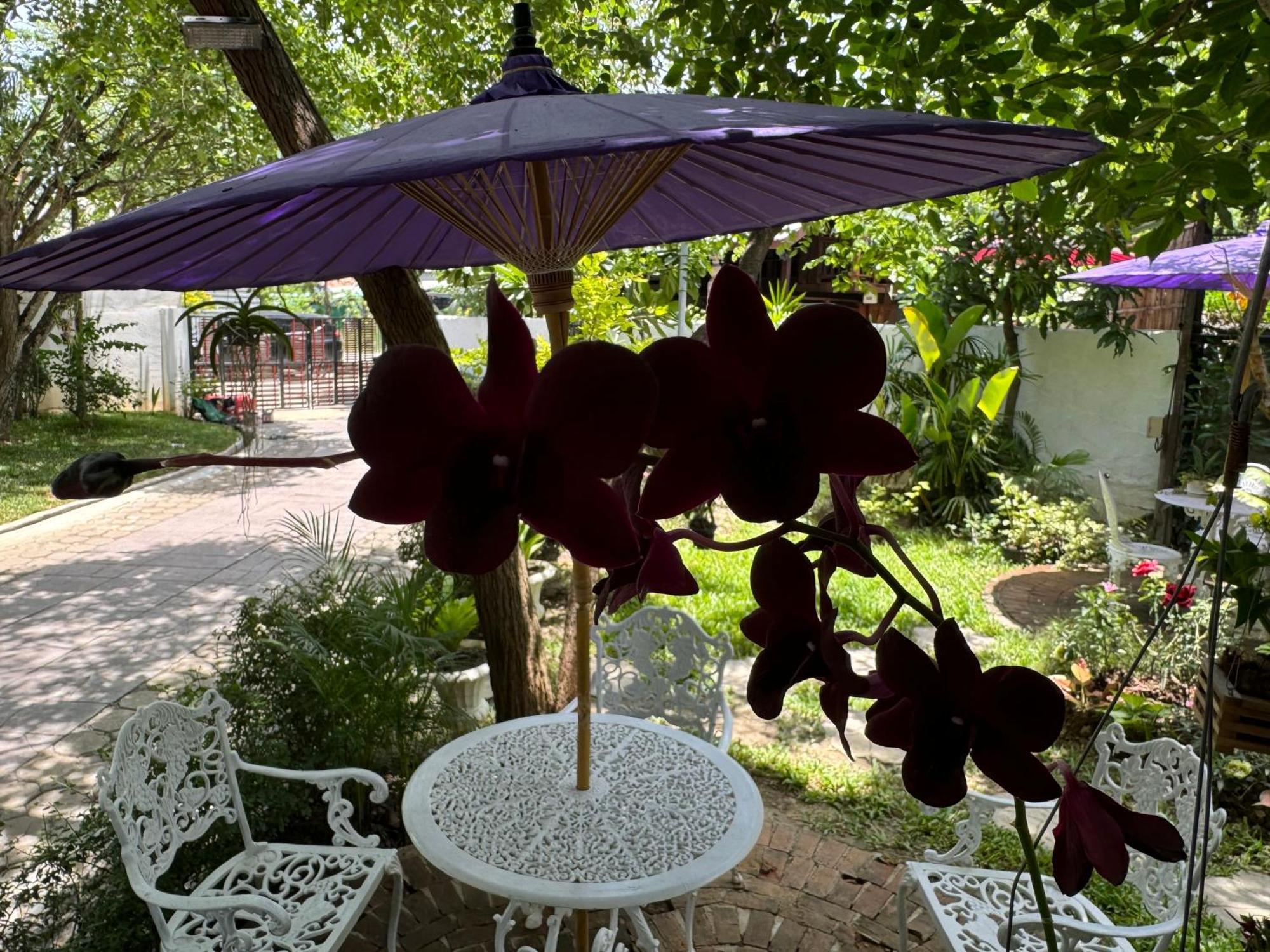 Chiang Mai Las Orquideas Resort Kültér fotó
