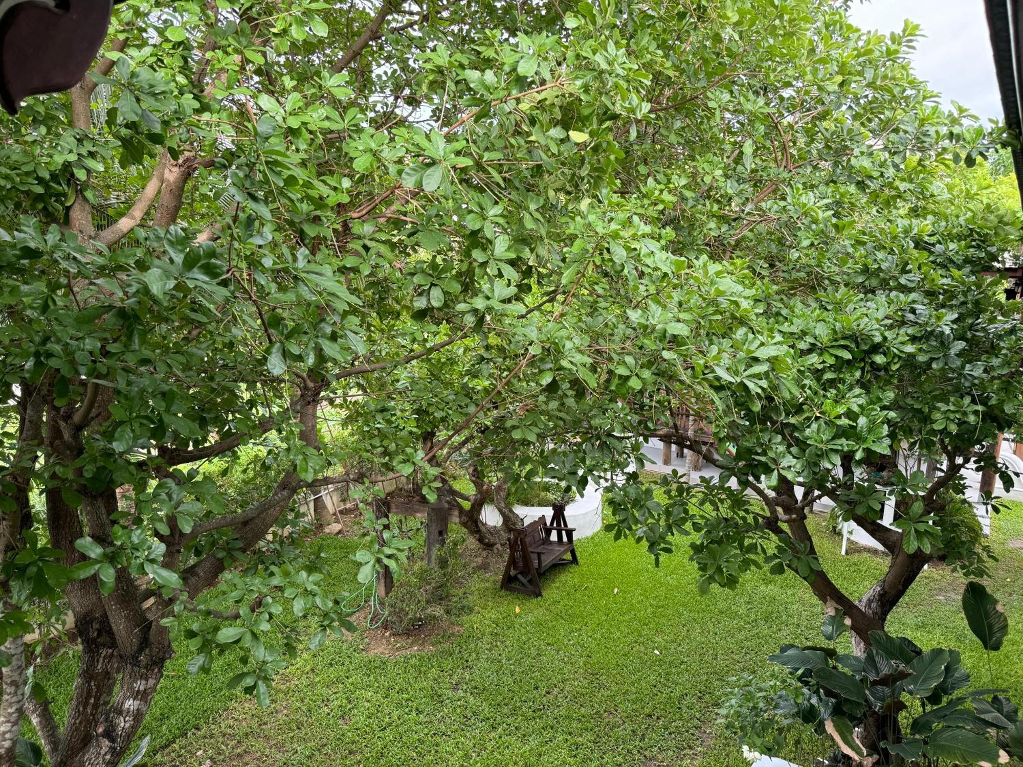 Chiang Mai Las Orquideas Resort Kültér fotó