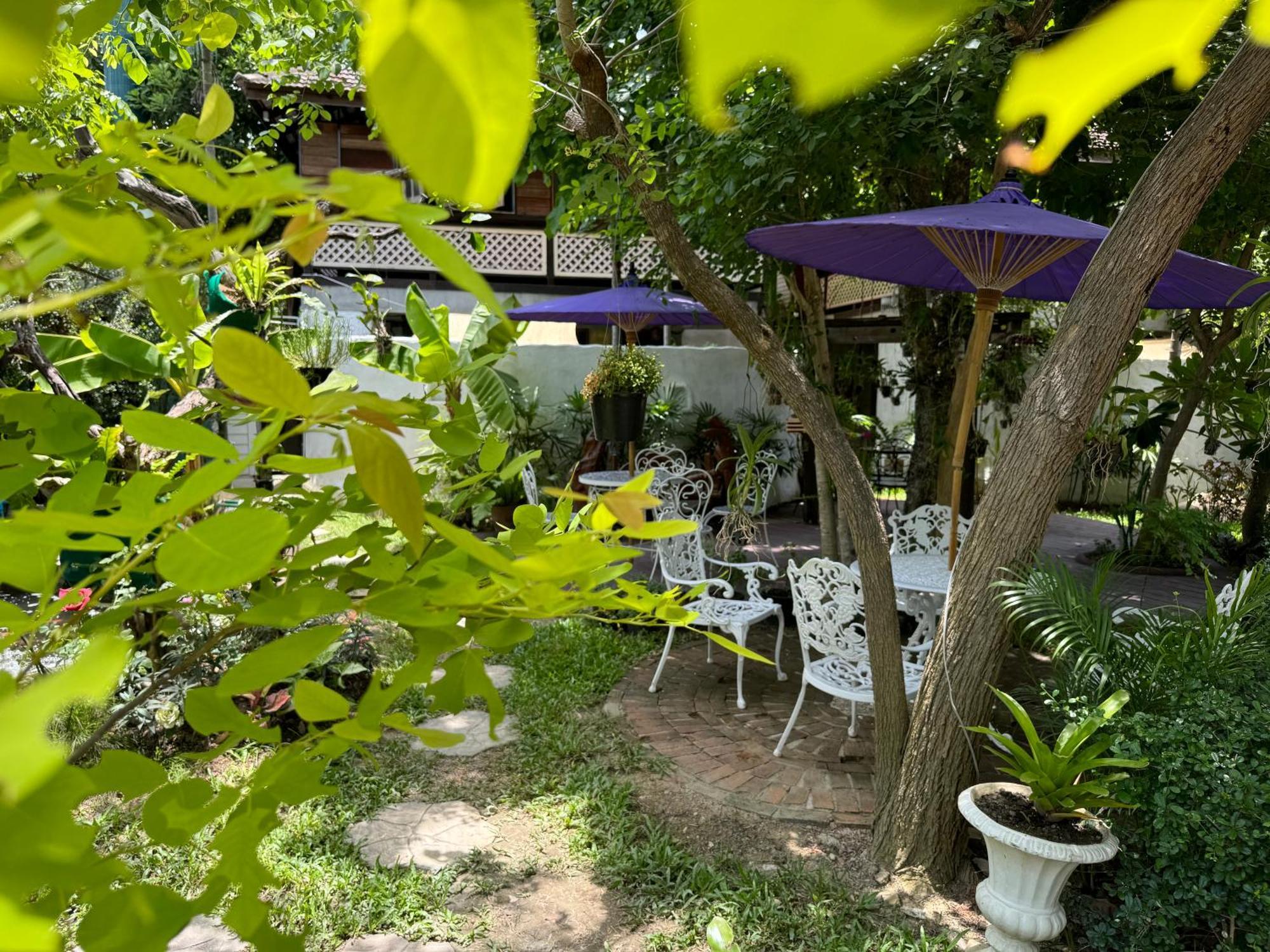 Chiang Mai Las Orquideas Resort Kültér fotó