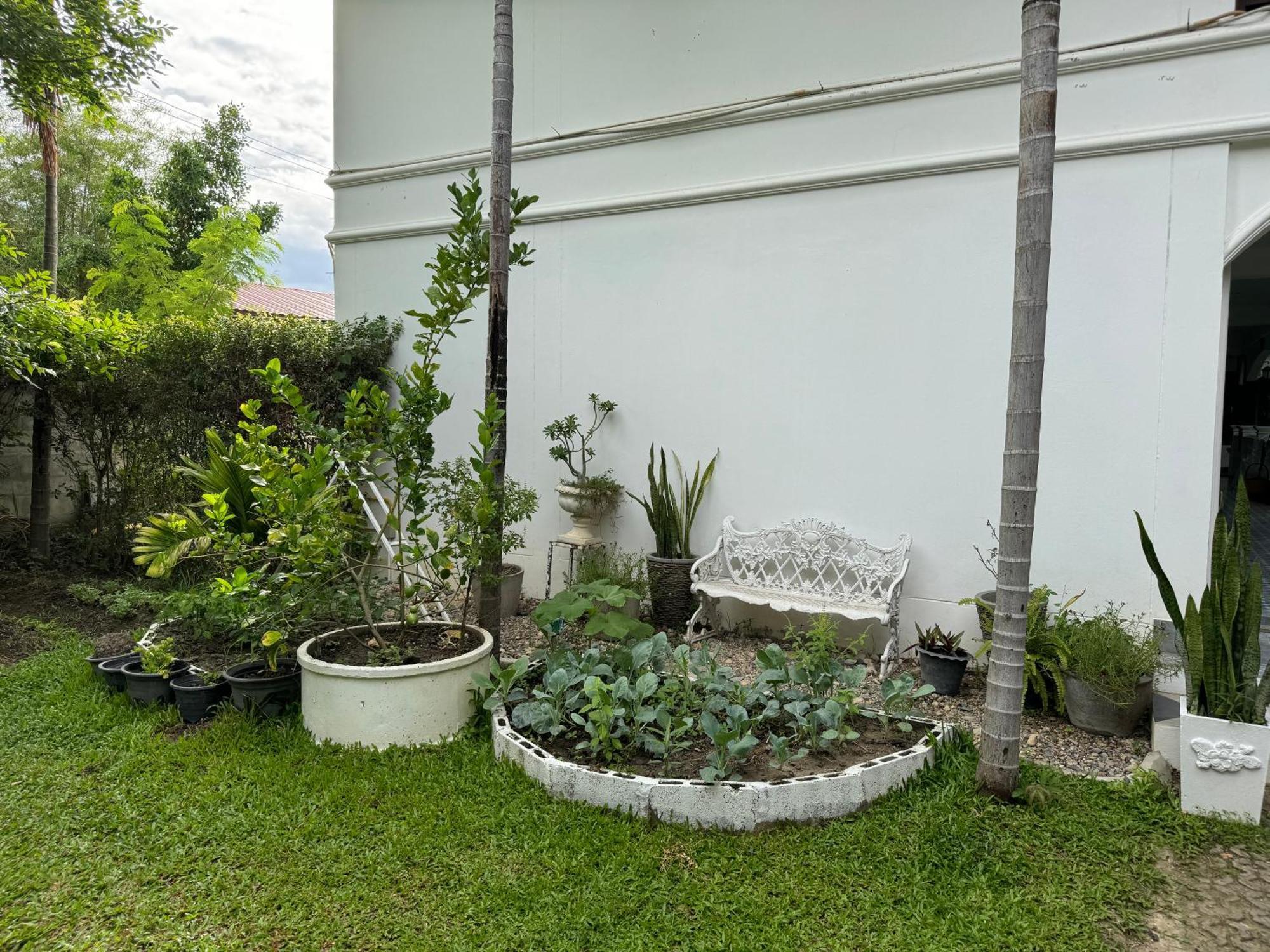Chiang Mai Las Orquideas Resort Kültér fotó